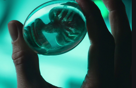 IMAGES HORRIFIQUES D'EMBRYONS ALIEN (EXTRA TERRESTRES) DANS LE V--A--X-- EXPOSÉ
