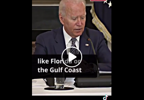 Clear est seulement: "Joe Biden est un psychopathe pharma-fasciste plein de merde!"