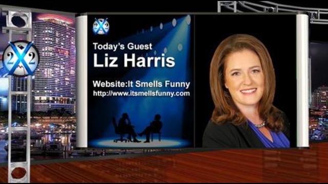 Rapport X 22 Liz Harris - La fraude électorale est pire qu'on ne le pensait à l'origine, coordonnée par le haut