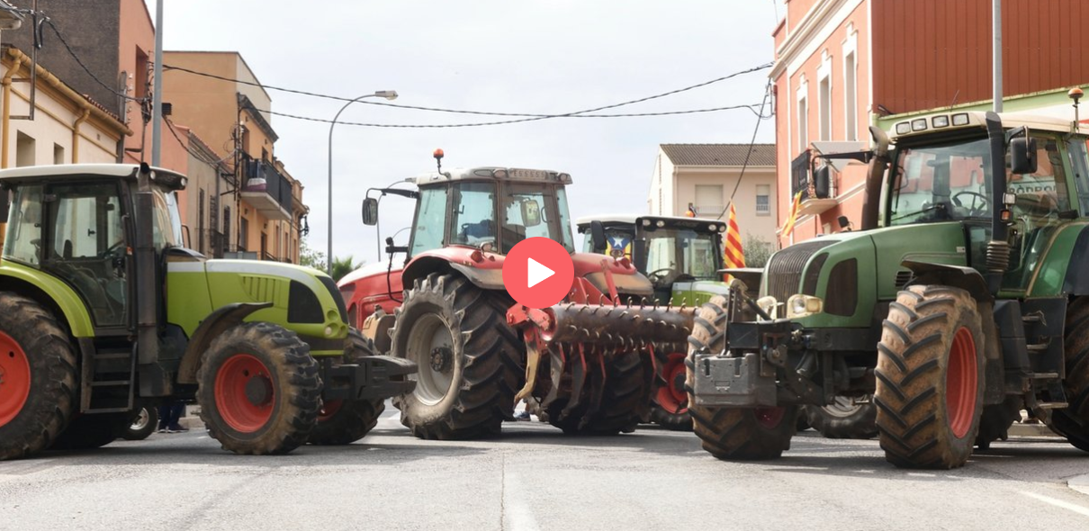 Contrecarrer le totalitarisme (TENIR XI)